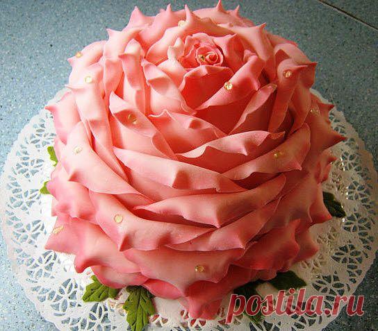 Одноклассники