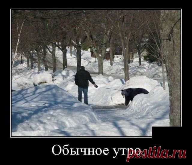 Демотиваторы . Чёрт побери
