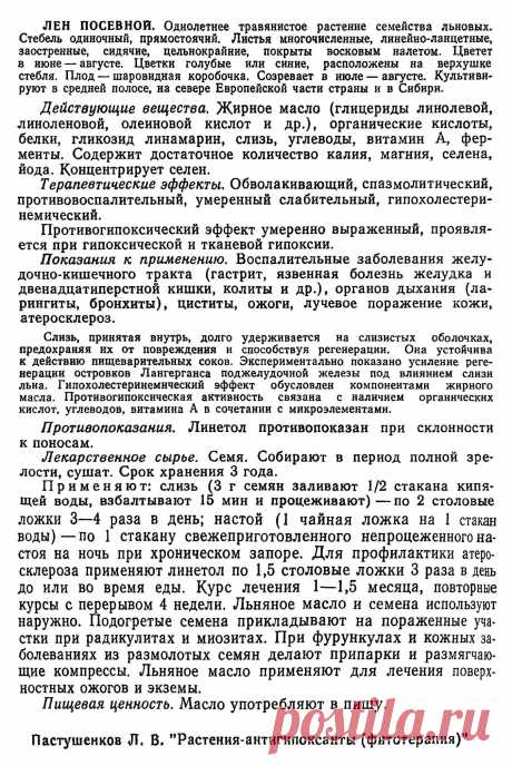Лен посевной