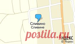 "ООО «Триера шипярд»" - контакты, товары, услуги, цены