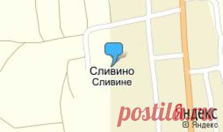 &quot;ООО «Триера шипярд»&quot; - контакты, товары, услуги, цены