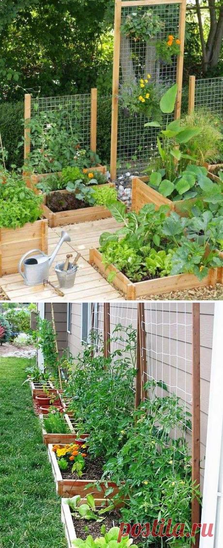 Красивые и простые подпорки для благоустройства грядок на даче