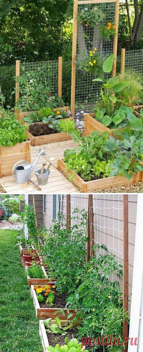 Красивые и простые подпорки для благоустройства грядок на даче