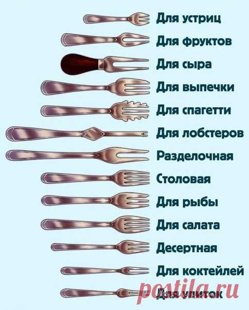 Даже и не думала, что есть столько разновидностей вилок.
Хозяйкам не помешает об этом знать.