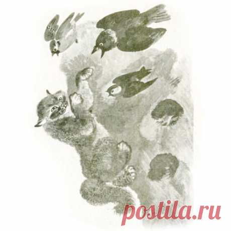 КРАСНАЯ ГОРКА