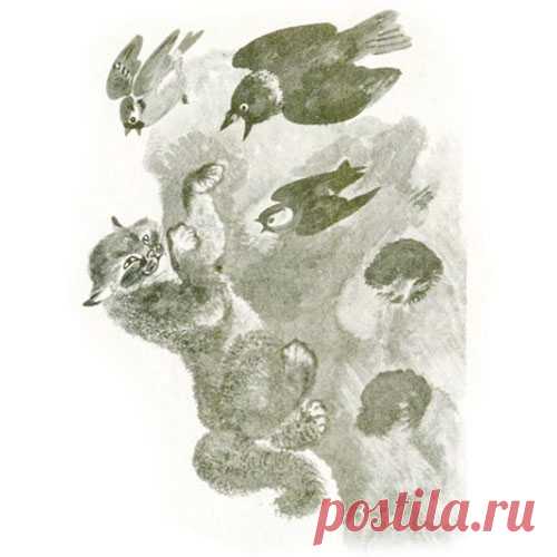 КРАСНАЯ ГОРКА