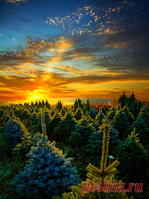 life by the drop — coiour-my-world: Not Forgotten by Phil~Koch on...