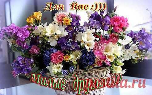 Для Тебя!
http://ok.ru/pojelanieok

Жми Класс чтоб и ваши друзья увидели эти красивые цветы!