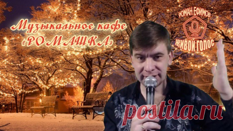 Музыкальное кафе "Ромашка" №519