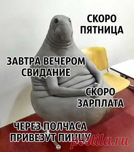 8 советов нейробиолога о том, как стать счастливым раз и навсегда