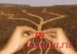 Послание арктурианской группы от 9 июля 2017 года | Portal 8