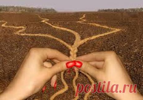 Послание арктурианской группы от 9 июля 2017 года | Portal 8