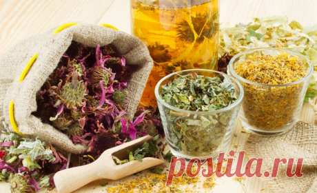 Лечение цистита в домашних условиях:Herb-Еco
При остром цистите
Смешать по чайной ложке сушеных ягод смородины, земляники и клюквы со столовой ложкой ромашки, залить 500 мл. кипятка и настоять в течение 2-х часов в термосе. Принимать ежедневно по 100 мл. четыре раза в день
Морскую соль накалить, положить в сухую тряпочку и поместить на низ живота на 15-20 минут