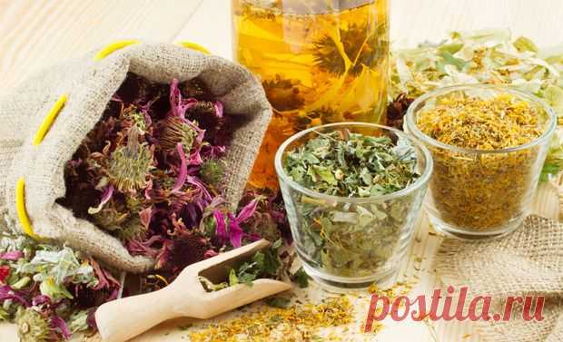 Лечение цистита в домашних условиях:Herb-Еco
При остром цистите
Смешать по чайной ложке сушеных ягод смородины, земляники и клюквы со столовой ложкой ромашки, залить 500 мл. кипятка и настоять в течение 2-х часов в термосе. Принимать ежедневно по 100 мл. четыре раза в день
Морскую соль накалить, положить в сухую тряпочку и поместить на низ живота на 15-20 минут