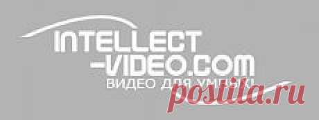 Смотреть Коллекция развивающих мультфильмов Роберта Саакянца онлайн. Для детей. онлайн-видео intellect-video.com