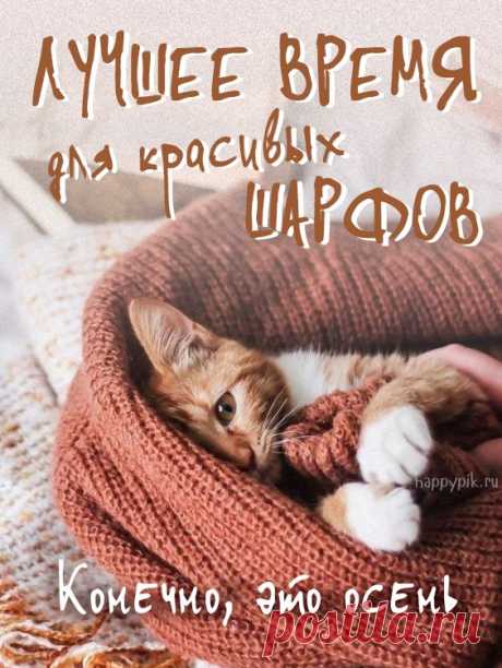 С добрым осенним утром картинки. Более 70 новых красивых картинок