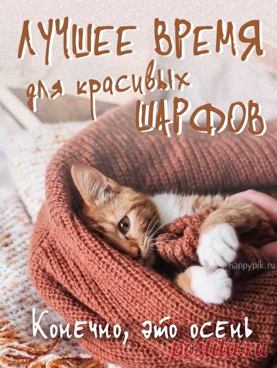 С добрым осенним утром картинки. Более 70 новых красивых картинок