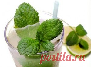 7 способов приготовить старинный русский напиток Ратафию | Русская семерка