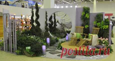 (11) Ирина Белогруд