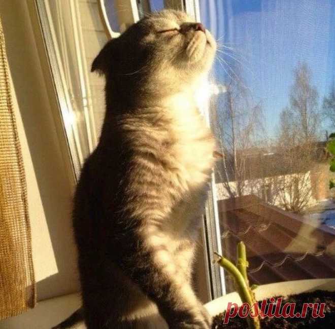 Галина Поштар - Google+