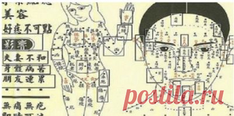 Как предупредить рак 
кожи:Личная карта родинок.