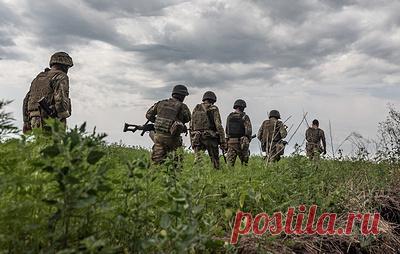 Guardian: генералы НАТО могли убедить Украину изменить план наступления. По информации газеты, ВСУ могли изменить свою стратегию, сосредоточив усилия лишь на одном участке фронта