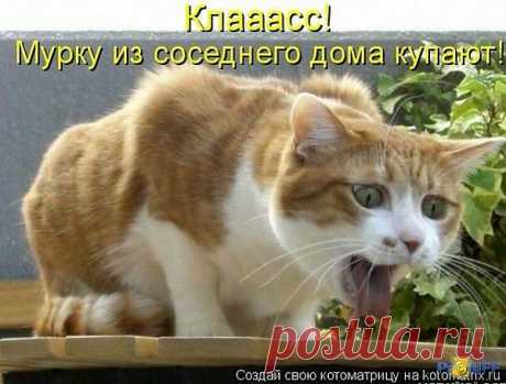 Мой Мир@Mail.Ru