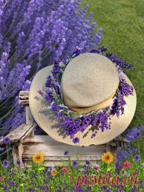 Pinterest