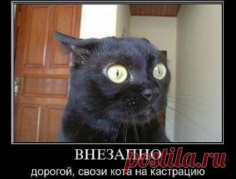 вот)