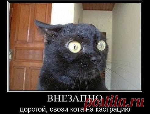 вот)