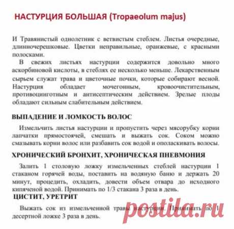 Настурция большая.
Травник. Золотые рецепты народной медицины. Универсальный справочник. Москва 2007