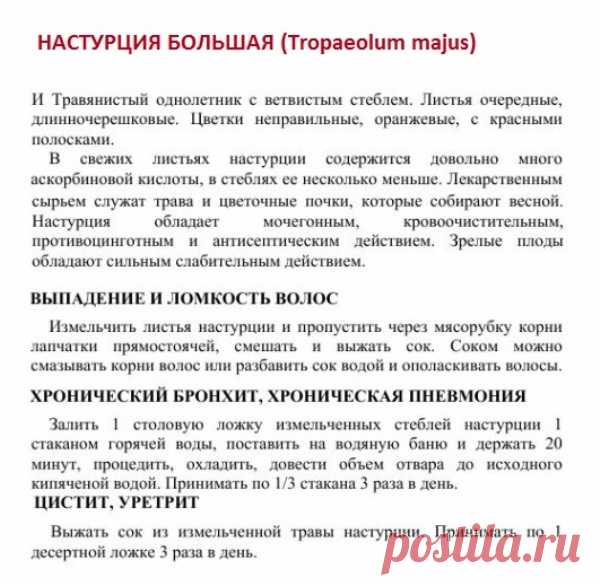 Настурция большая.
Травник. Золотые рецепты народной медицины. Универсальный справочник. Москва 2007