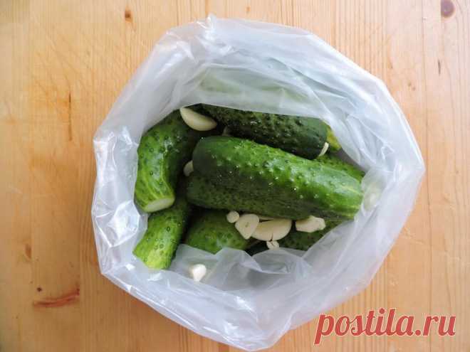 Коллекция Рецептов