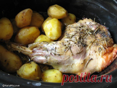 Ножка козленка с розмарином и медом - ХЛЕБОПЕЧКА.РУ