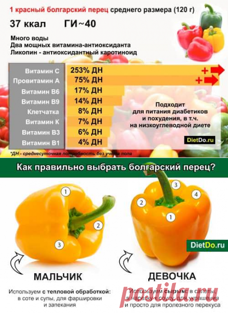 Болгарский перец — польза и вред для здоровья, как хранить и приготовить. Грамотные обзоры пользы и вреда продуктов от DietDo.ru!