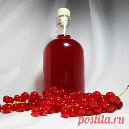 Наливка из красной смородины на водке
450-500 гр. ягод красной смородины
0,5 л водки
150 гр. сахара