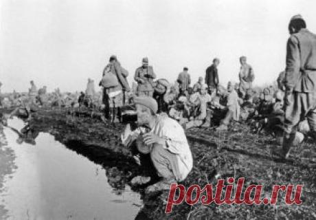 "Чёрный миф" о советских военнопленных: Сталин и Женевская конвенция

Одной из любимых тем Великой Отечественной войны, на которой паразитируют либеральные антисоветские пропагандисты, стала трагедия военнопленных, которые сотнями тысяч были уничтожены гитлеровцами. Этот миф озвучили даже в школьных учебниках. Суть его довольна проста: Иосиф Сталин заявил, что у нас не может быть военнопленных и не присоединился к Женевской конвенции. Поэтому, мол, немцам в 1941 году ничег...