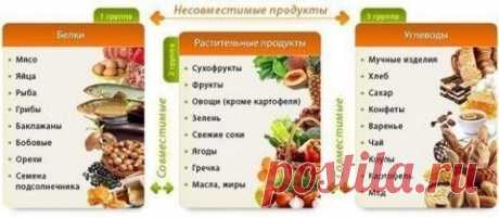 Несовместимые продукты – их дружба опасна для здоровья | Советы Народной Мудрости