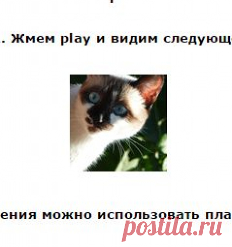 МОРГАНИЕ С ПОМОЩЬЮ ПЛАСТИКИ