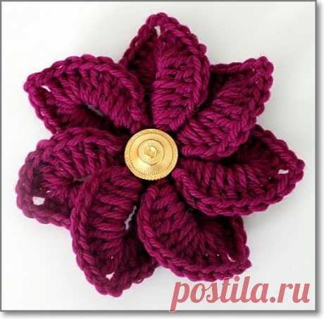 «Крокодиловый» цветок