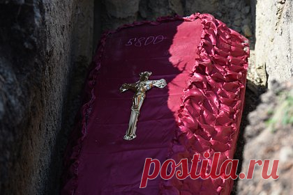 «Черную вдову» вычислили в российском военном госпитале