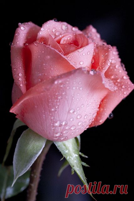 Всем отличного настроения,удачного дня!!...♥♥♥