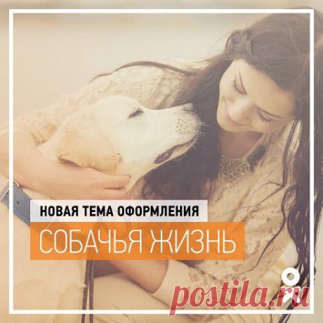 (99) Одноклассники