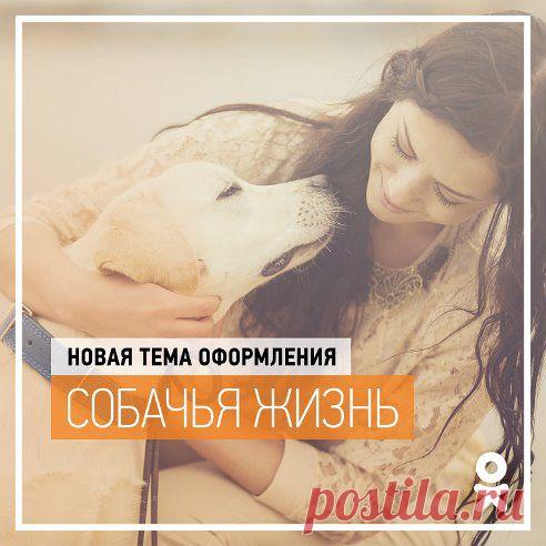 (99) Одноклассники