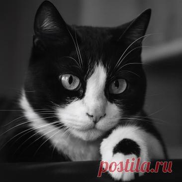 Призраки прошлого - OGADANIE.RU