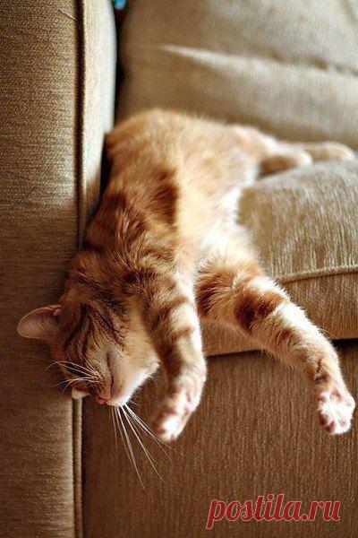 Интересные новости