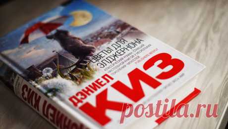 История одного эксперимента: как родилась легендарная книга «Цветы для Элджернона» Дэниэла Киза