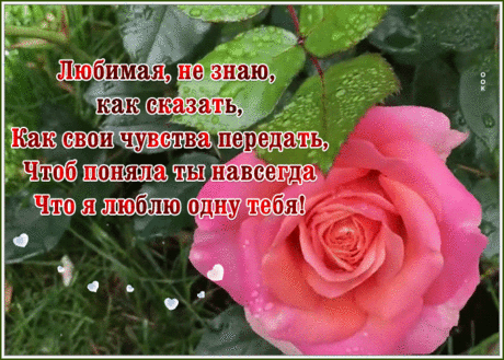 Открытка любимой женщине