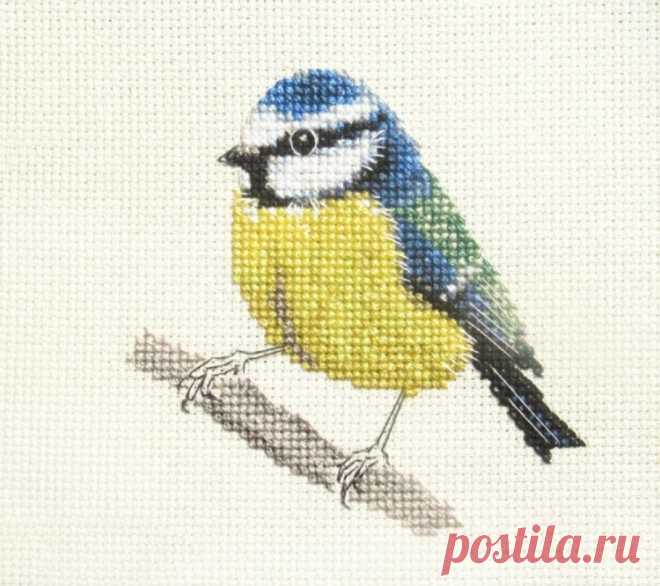 Gallery.ru / Фото #2 - ИЩУ СХЕМУ, Fido Stitch Studio ПРОДАЮТ ТОЛЬКО Великобританцем - iso22000