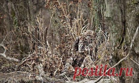 (10) Одноклассники